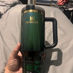 Wicked Stanley 40oz Tumbler (Elphaba, Green)